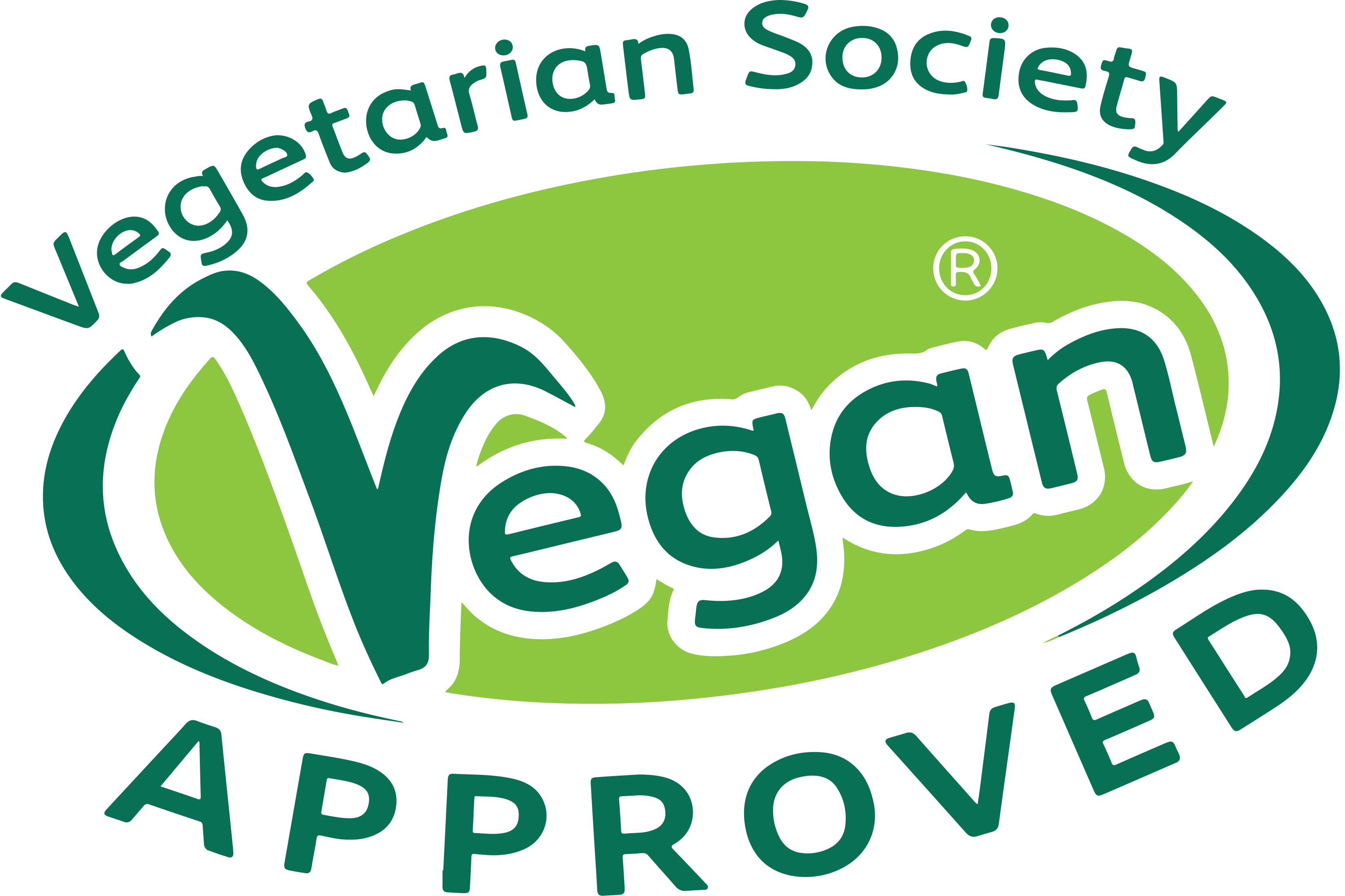 vegan approved